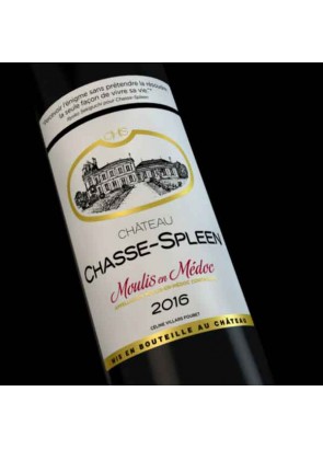 Chateau Chasse Spleen 2016